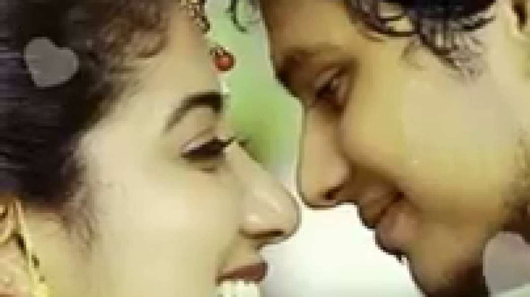 vaadi vaadi nattukatta song | Tamil love whatsapp status video free download