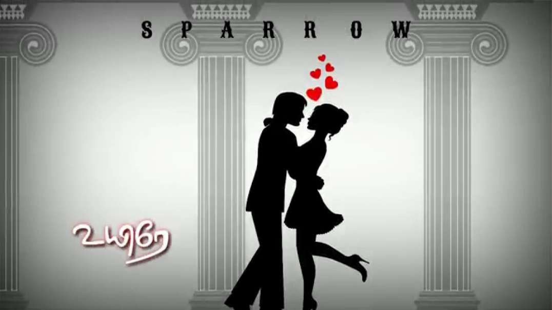 Nee Partha Viligal Song | Female Version | Tamil Love WhatsApp Status video free download