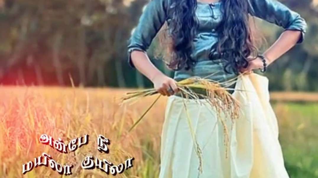⁣Anbe Nee Mayila kuyila song | WhatsApp status Tamil