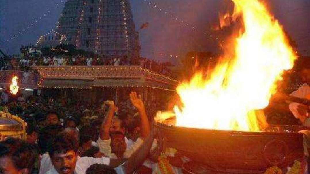 Karthigai Deepam Status || Thiruvannamalai Karthigai Deepam Songs || Sivan Songs Status