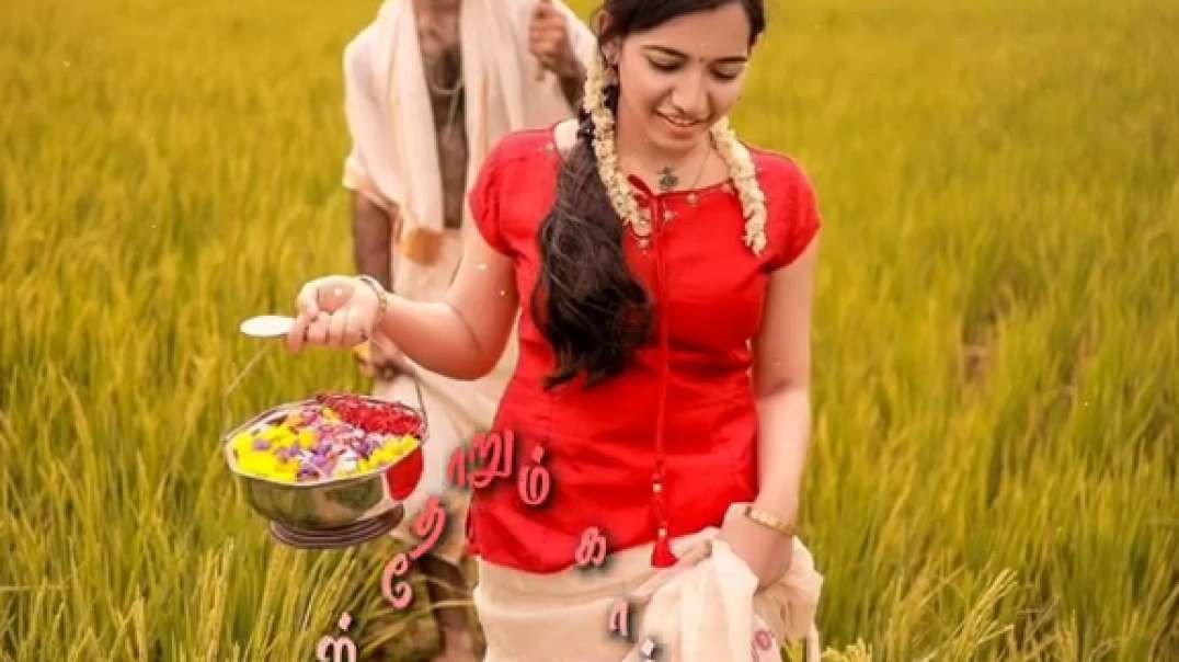 Thoothuvalai Ila Arachu Song  | Tamil WhatsApp Status | Old melody Song Status Tamil