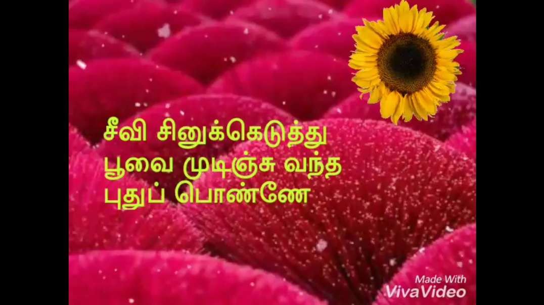 Seevi Sinukeduthu Song | Tamil WhatsApp Status Song |