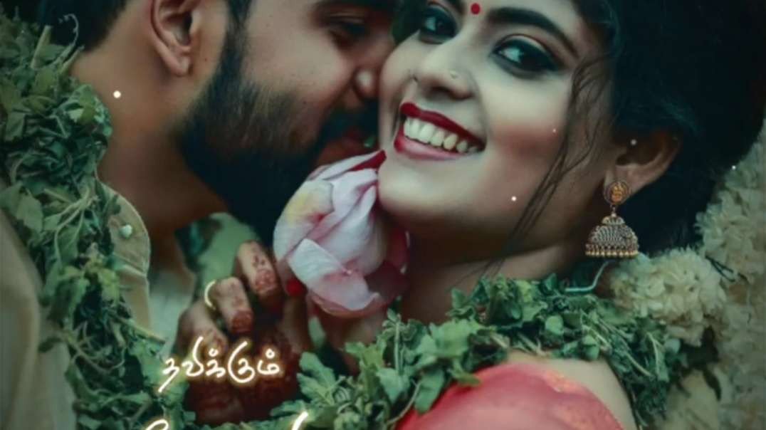 ⁣Selai Kattum Nandhavanam Neeya || Tamil WhatsaApp love status video