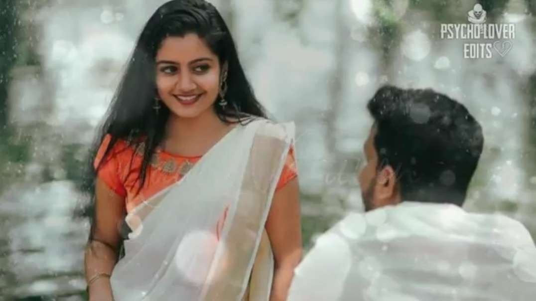 Priyamanavale Female Version Song || Tamil WhatsaApp love status video