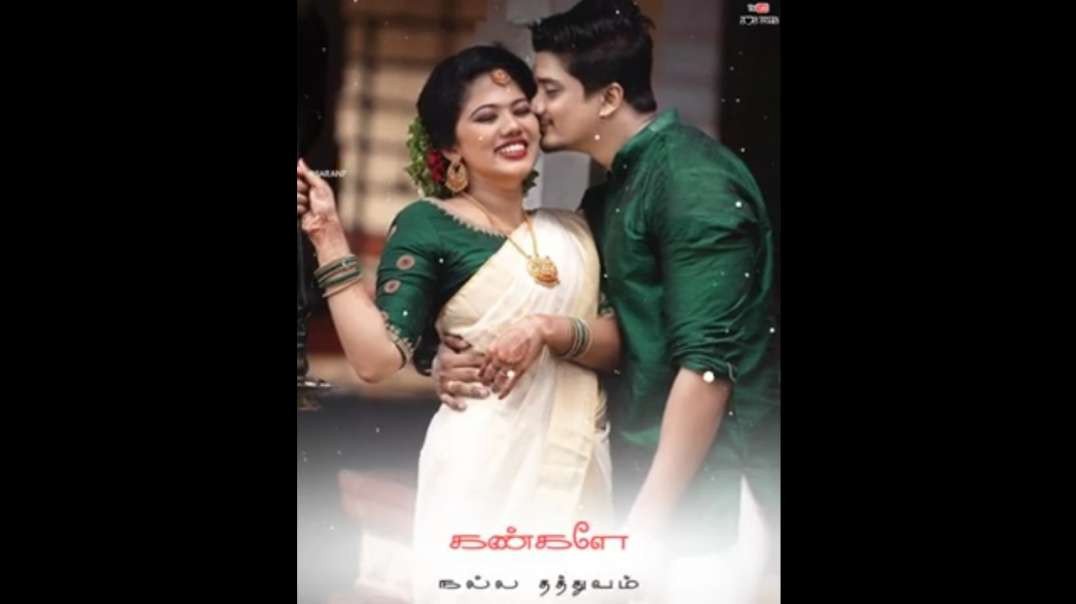 Siriya Paravai Siragai Song | Tamil Whatsapp Status Video Song Download | Tamil Status Song |