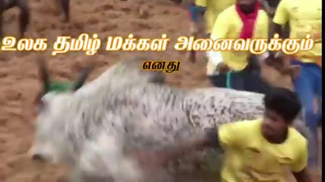மாட்டு பொங்கல் வாழ்த்துக்கள் || Happy Mattu Pongal Wishes 2021
