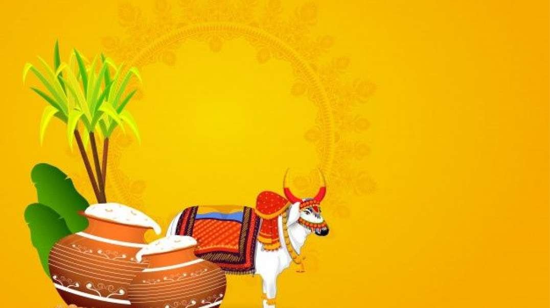 Happy Pongal WhatsApp status || Pongal WhatsApp status Tamil Video