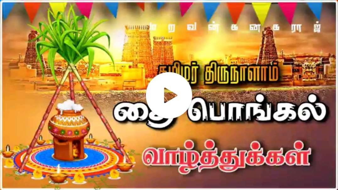 Happy Pongal WhatsApp status || Pongal WhatsApp status Tamil