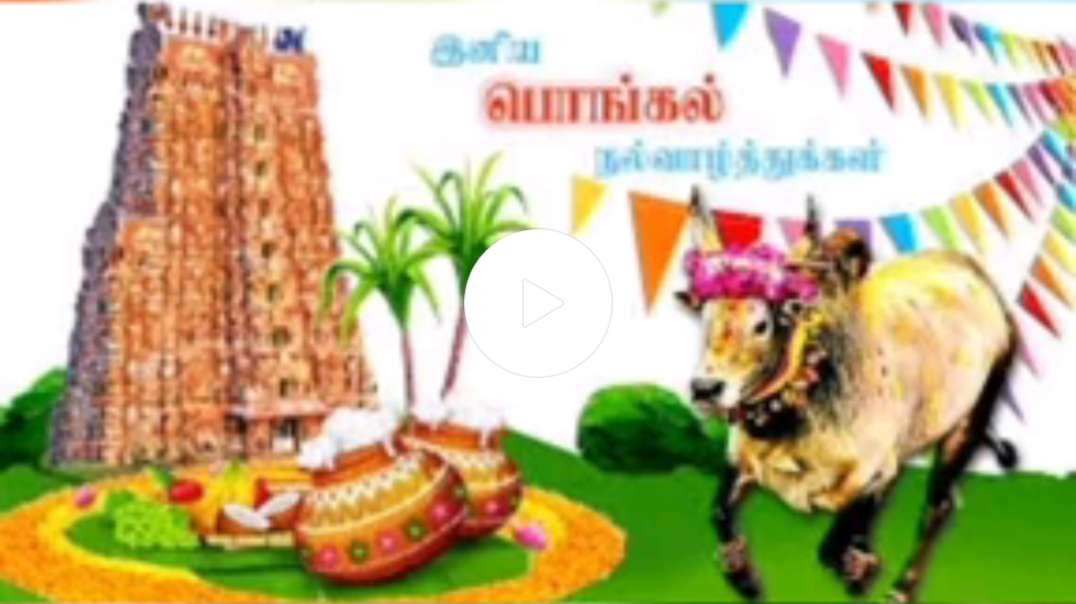 Pongal WhatsApp status || Pongal WhatsApp status Tamil