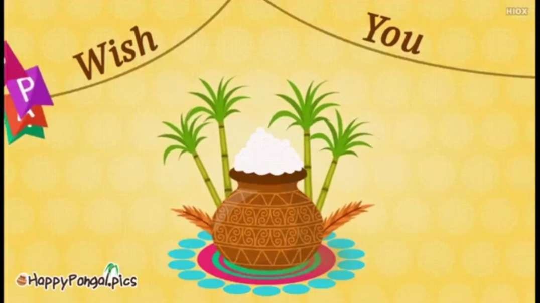 Happy Pongal 2021 WhatsApp status || Pongal WhatsApp status Tamil