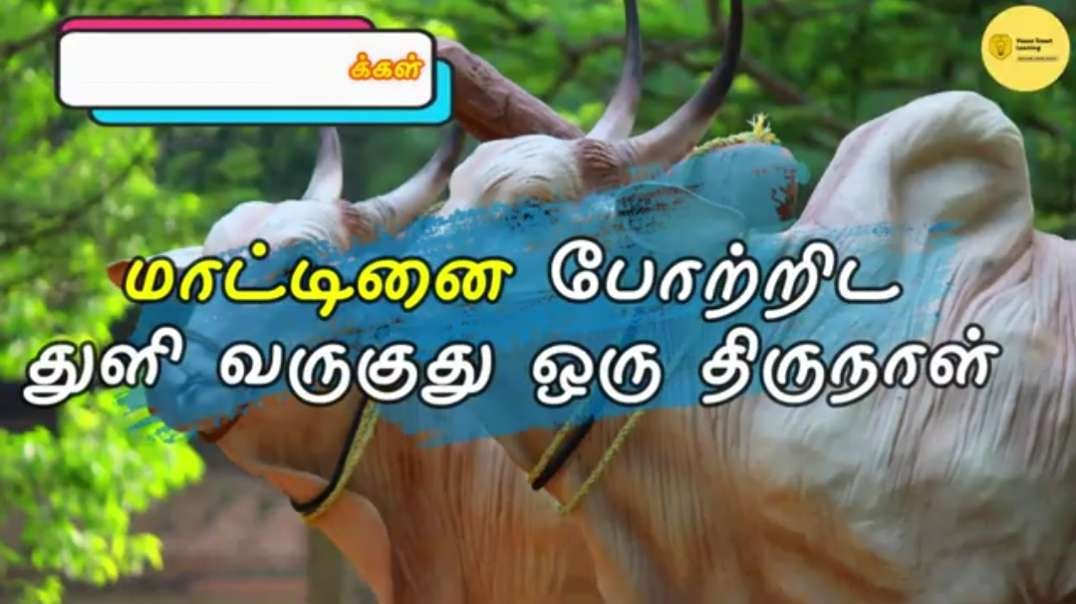 Happy Pongal WhatsApp status || Pongal WhatsApp status Tamil