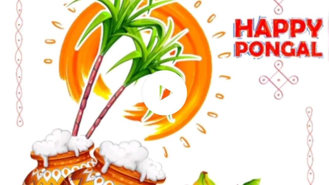 Pongal WhatsApp status || Pongal WhatsApp status Tamil 2021