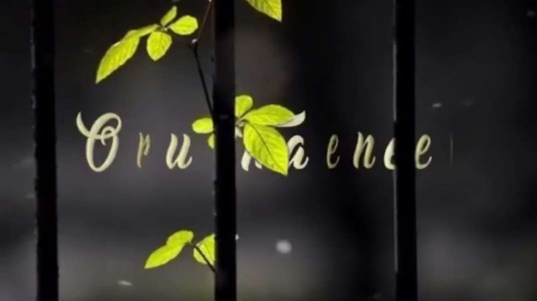 ⁣En Jannal Vandha | Theeratha Vilayattu Pillai movie love WhatsApp status