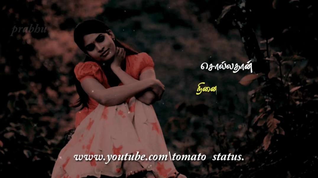 Sollathan Ninaikiren Song | kadhal sugamanthu | Female Sad feeling lyrics whatsapp status
