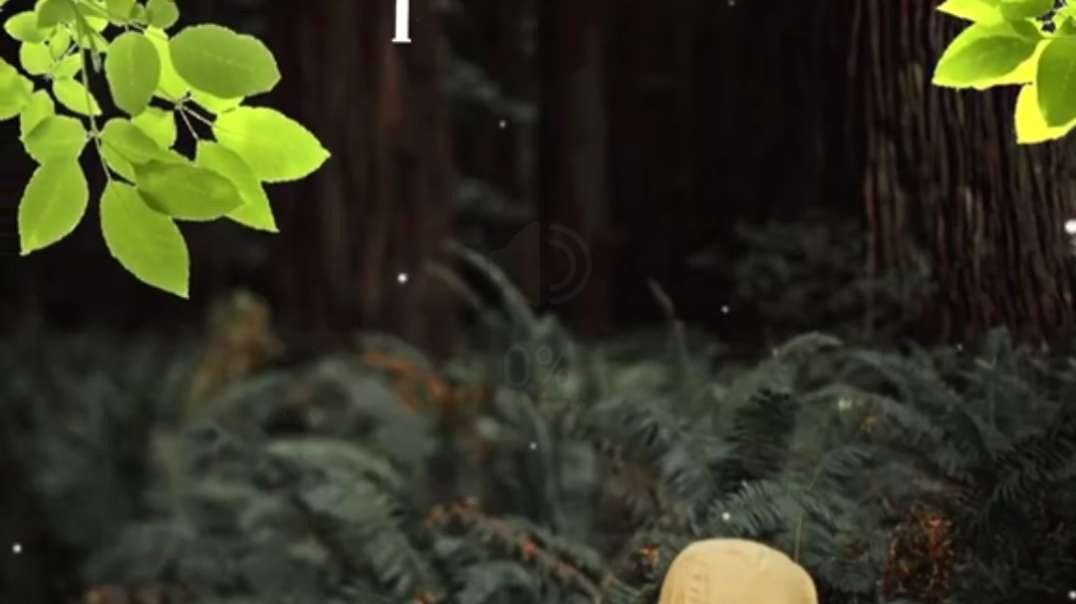 Silu Silu | Vanamagan movie love WhatsApp status