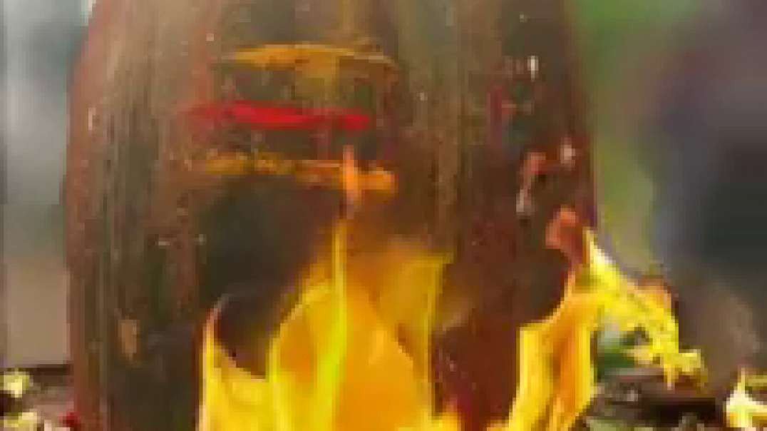 Lord siva whatsApp status Tamil || God sivan status