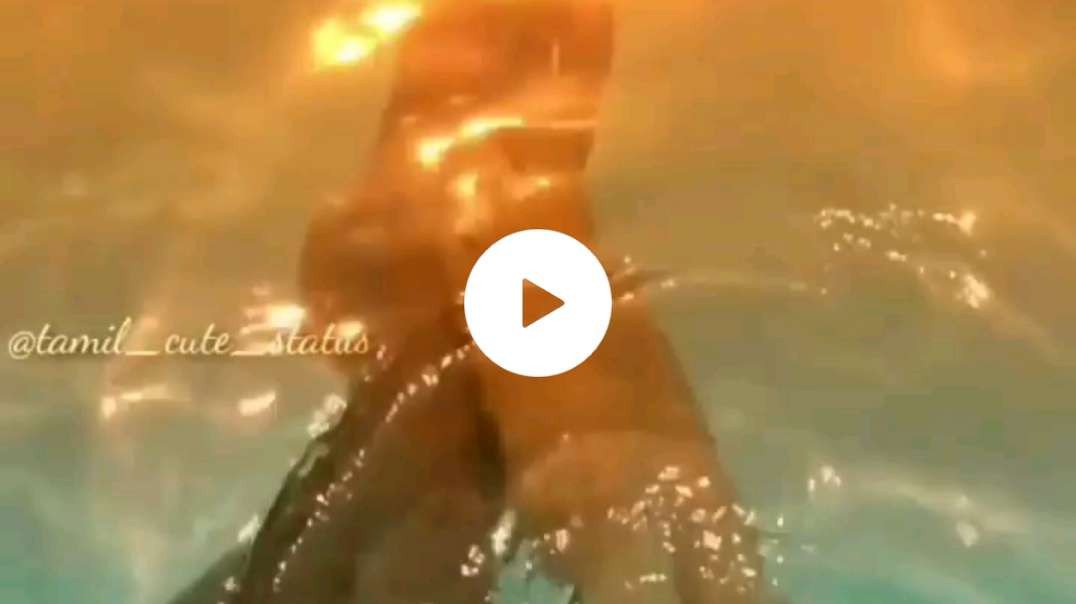 Cute Love  Status  || Tamil Love WhatsApp status Edits || New Status || New  Love Status