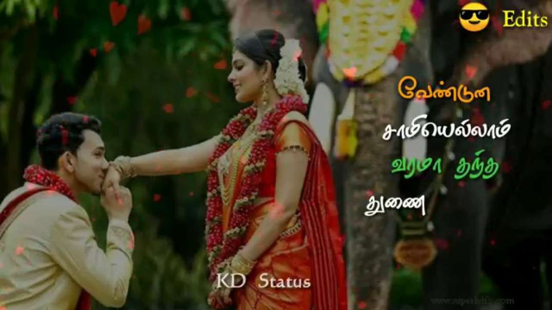 Venpani malarae song || Tamil love status || Power Pandi movie song status