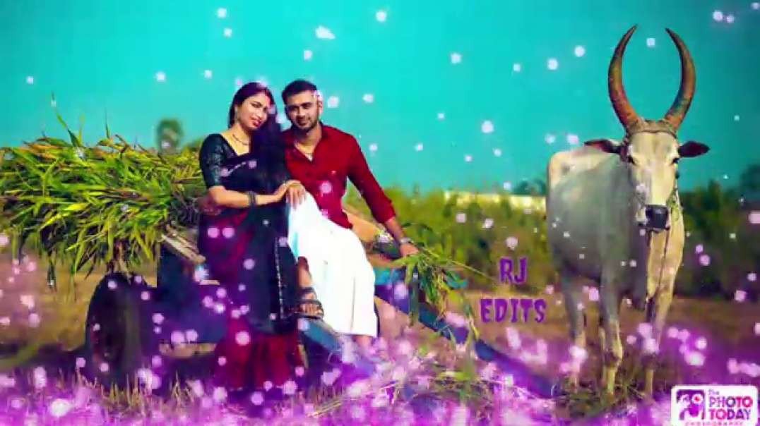 Thenmadurai veeranukku ennudaiya mamanukku song || Tamil Video Songs || Old song status