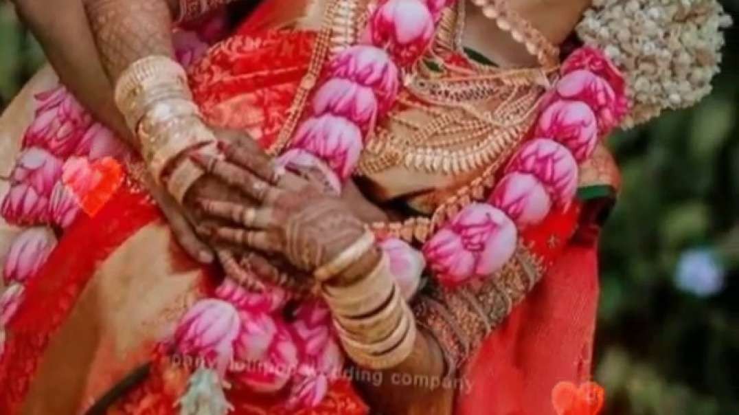 Solli tharavaSolli tharavaa song - Alwar WhatsApp status Tamil -Asin WhatsApp Status