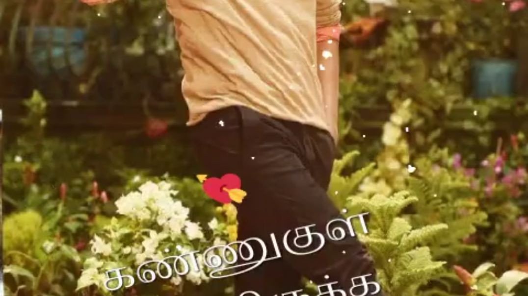 Kannukulla Kanaviruku Song || Vijay WhatsApp Status Tamil