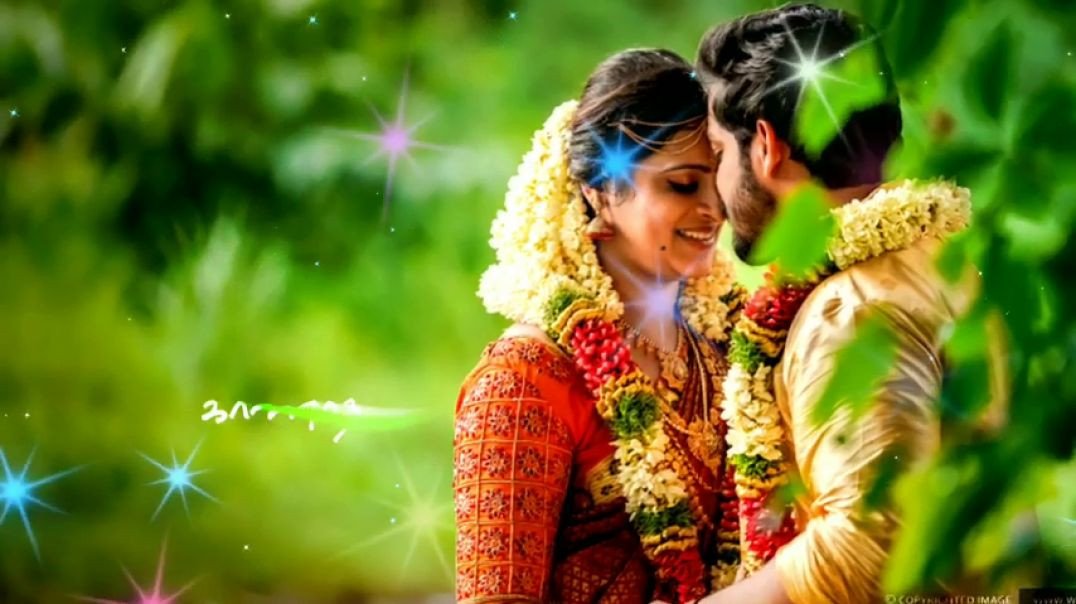 ⁣Santhaikku Vantha Kili Whatsapp Status Video - Lyrics Status Download