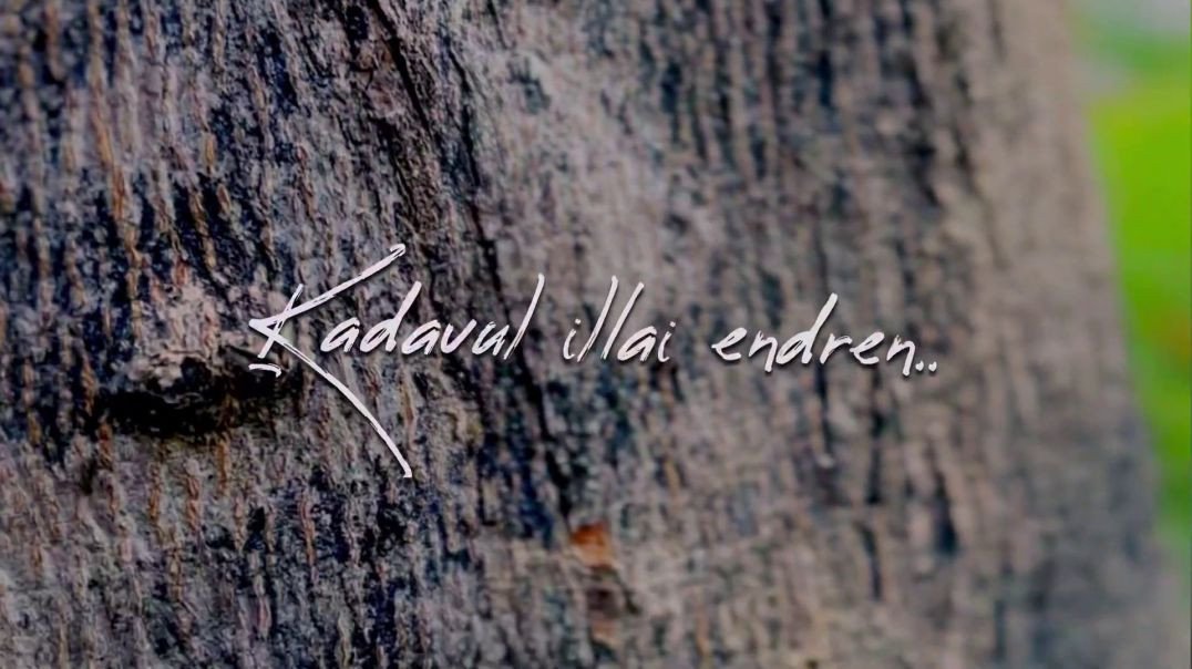 Kadavul Illai endrein Song Whatsapp Status | Netru Illathe Maatram Song | Puthiya Mugam