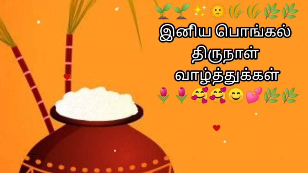 ⁣⁣Pongal WhatsApp Status 2023 | Pongal Status Video | Tamil Pongal Status Download
