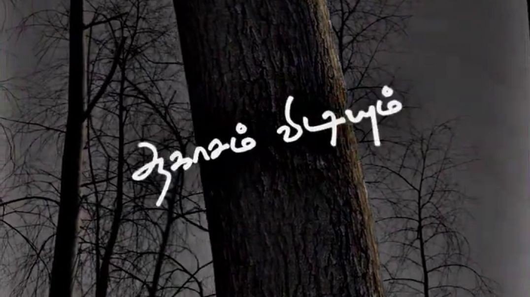 Viduthalai Movie love Song | WhatsApp Status Tamil | love whatsappstatus tamil