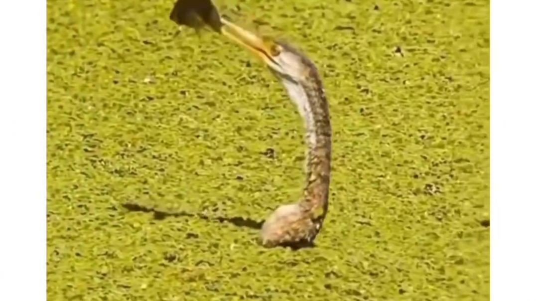 ⁣Tamil Whatsapp Status | Tamil Motivational Status | Tamil Status