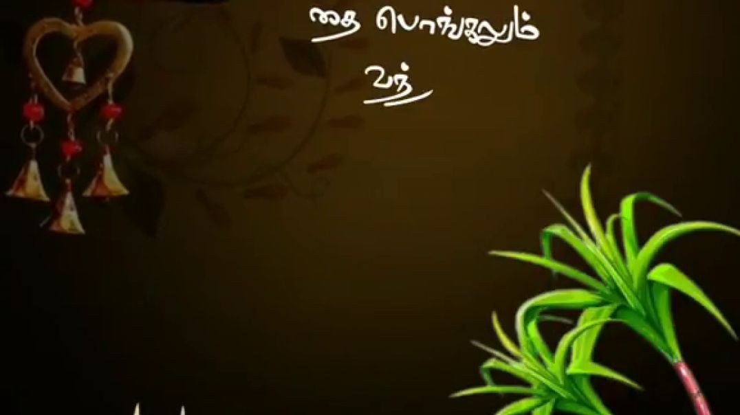 ⁣Thai pongalum vanthathu song whatsApp status | Pongal Whatsapp Status 2024