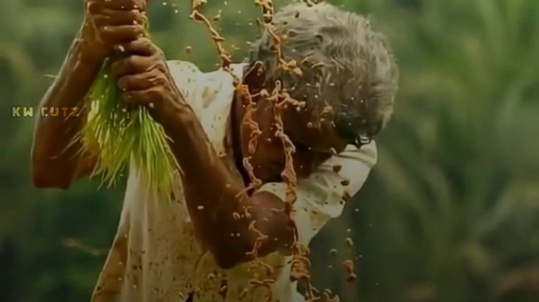 ⁣Pongal whatsapp status 2024 | Fullscreen pongal status | whatsappstatus pongal | jallikattu tamil