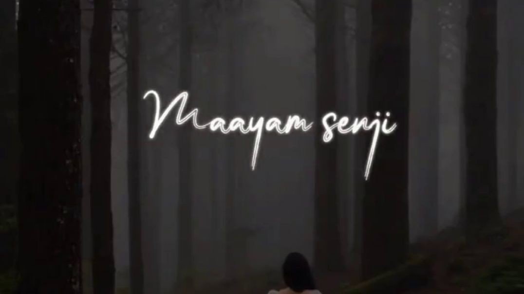 Maayoney Chella Maayoney | Whatsapp Status | Love Rromantic Status Song